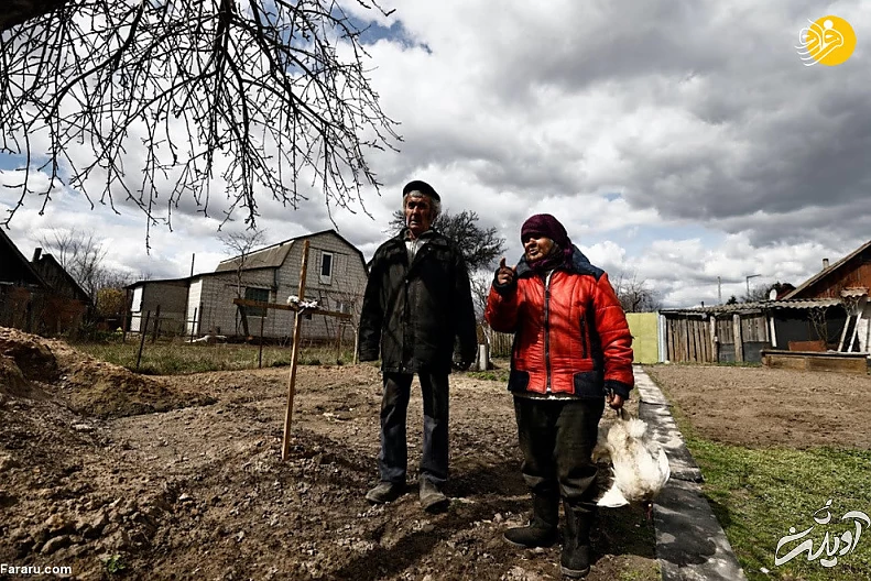 (تصاویر) داستان پیرزن اوکراینی و مرغهایش